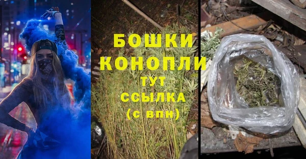 ГАЛЛЮЦИНОГЕННЫЕ ГРИБЫ Костерёво