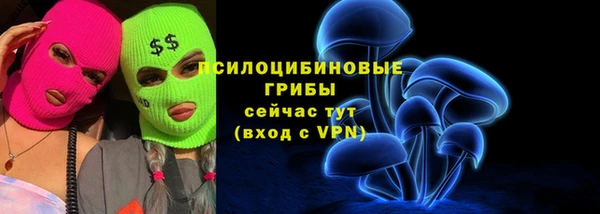 ГАЛЛЮЦИНОГЕННЫЕ ГРИБЫ Костерёво