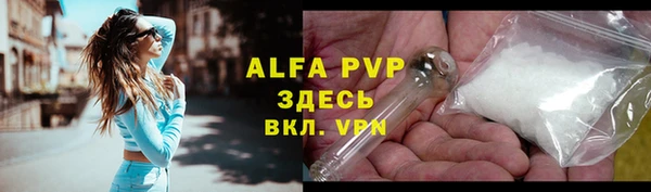 ГАЛЛЮЦИНОГЕННЫЕ ГРИБЫ Костерёво