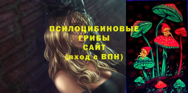 ГАЛЛЮЦИНОГЕННЫЕ ГРИБЫ Костерёво