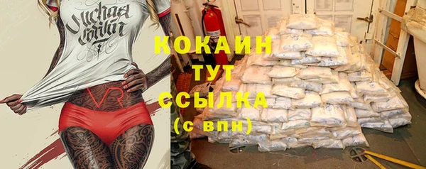 ГАЛЛЮЦИНОГЕННЫЕ ГРИБЫ Костерёво
