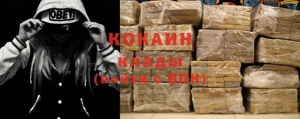 ГАЛЛЮЦИНОГЕННЫЕ ГРИБЫ Костерёво
