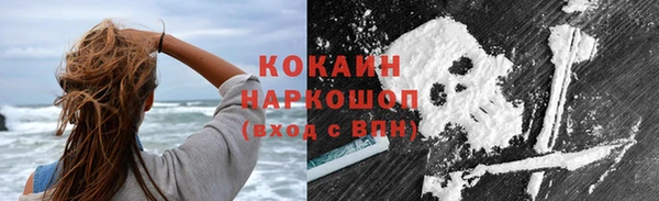 ГАЛЛЮЦИНОГЕННЫЕ ГРИБЫ Костерёво